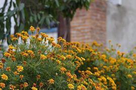 2021年清明节唯美短句