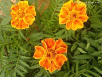 2022最火文案 2021再见，2022你好(精选34句)