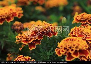 对男神非常失望的句子