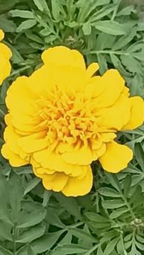 商品各种广告创意文案(精选72句)