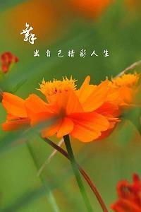 一晃孩子长大了的句子朋友圈汇编44句