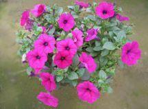 让人心痛想哭的说说