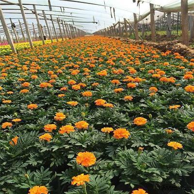 【热门】值得摘抄的神仙句子 惊艳了世人的书摘文案推荐93句