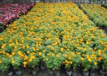 让人笑喷的一句话 愚人节搞笑句子集锦25句