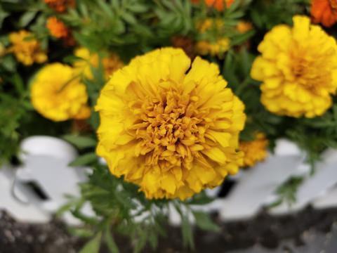关于爱护保护动物的宣传语标语大全获奖