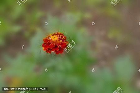 写给闺蜜的话简短走心