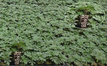 考研有关的励志句子推荐71句