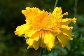 表面总是很开心的句子 表面开心内心压抑的句子