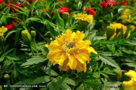 对人寒心绝望的句子