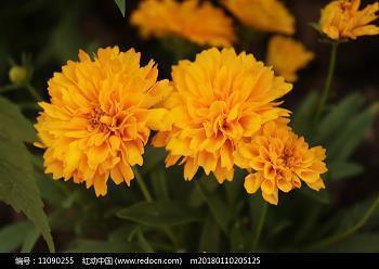 说说关于不开心的句子 关于我很不开心的说说