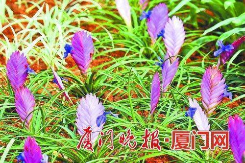 赞美女人坚强的句子