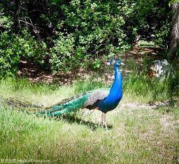 2021关于中秋节经典句子(精选75句)