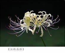 愿往后余生的暖心句子80句