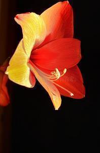 送给老师的简短祝福语(精选84句)