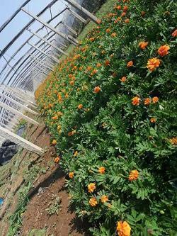 阅读的名言名句 读书语录经典语录(精选68句)