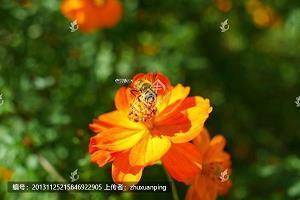 圣诞发朋友圈的搞笑说说