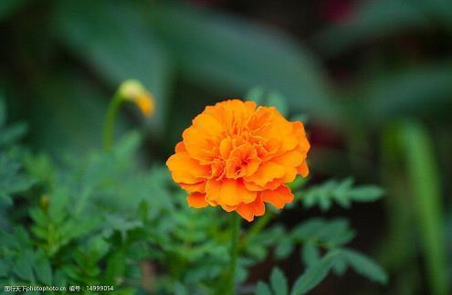 给老公加油打气的话 再长的路，一步步也能走完