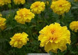 不完美的，才叫人生 最难懂的是人心的句子33句