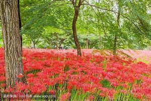 想在一起好好的对你失望的句子