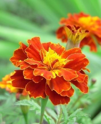 表示心情愉悦的朋友圈美句 心情愉悦开心的句子