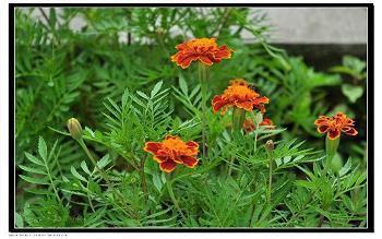 伤感走心的短语大全 烦躁闹心句子说说心情