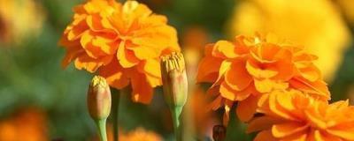 2021中元节搞笑的说说文案(精选61句)