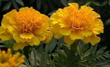 对于朋友很失望的句子