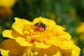 适合早上发朋友圈的说说 早安语录发朋友圈短句推荐38句