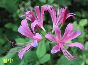 怎样表扬和鼓励孩子 表扬和鼓励孩子的话语合集65句