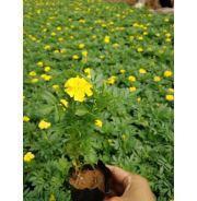 适合夜间发朋友圈的句子汇总39句