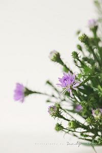 2020最后一天跨年心情文案说说94句