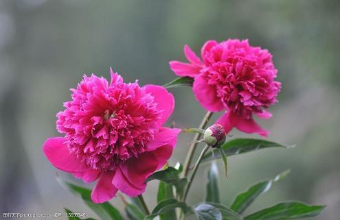 不靠别人靠自己的句子38句