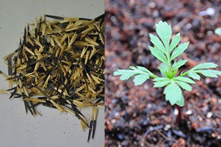 很现实的人生感悟说说 一段很现实的话适合发朋友圈(精选52句)