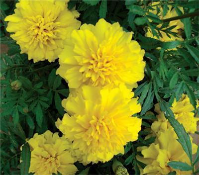 2021年最激励的一句话(精选29句)