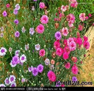 形容对自己的老公失望的句子说说心情