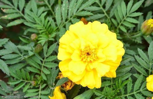 适合发朋友圈秋天温柔说说句子 秋分文案唯美句子