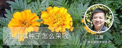 适合发qq空间的句子 相信自己，你能作茧自缚，就能破茧成蝶