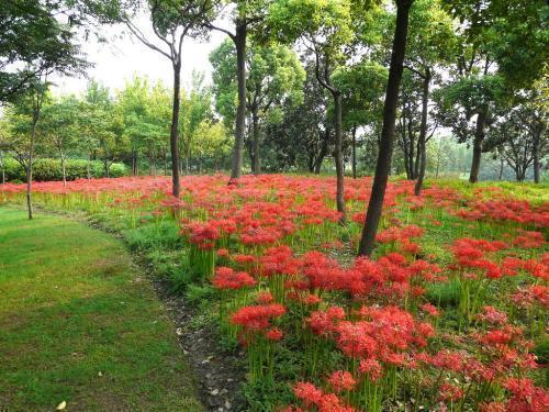 早上好的暖心句子