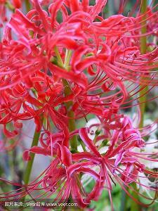 早晨的阳光正能量满满的句子摘抄28句