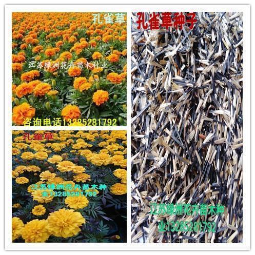 郑州挺住河南加油正能量句子(精选23句)