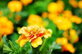 对爱人有点失望的句子