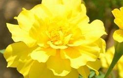 八一建军节对军人说的暖心话 八一建军节对军人的祝福集锦