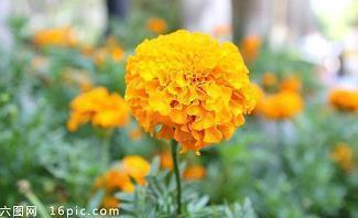 表达天冷的幽默说说短句 天冷加衣服的温暖句子集合26句