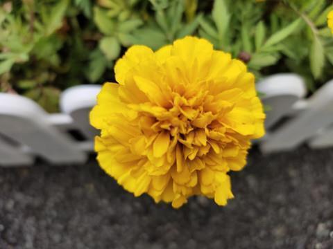 2021儿童节走心祝福语句子汇总130句