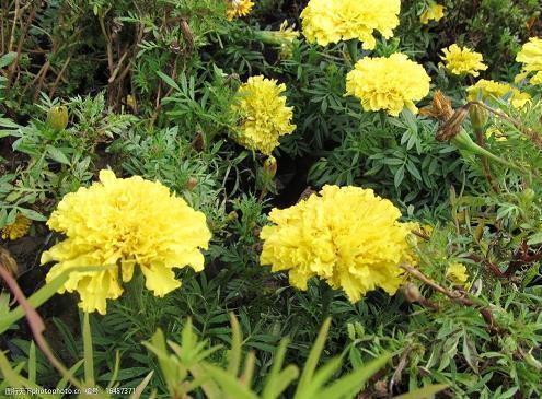 2021微信朋友圈说说早安 2021朋友圈早安文案汇编80句