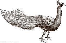 缅怀袁隆平的朋友圈句子 袁隆平去世朋友圈文案