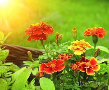 表达心碎的句子