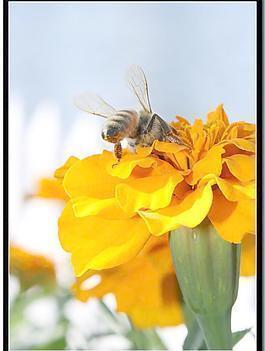 对她很失望的句子