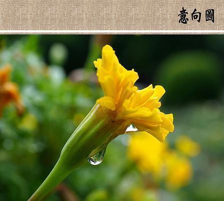 表示心情愉悦的美句 唯美心情愉悦短句