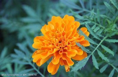 对依赖的人失望的句子